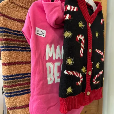 Trio of size large pet clothes hanging on plastic hangers, including a fuzzy striped sweater, a pink hoodie, and a festive candy cane...