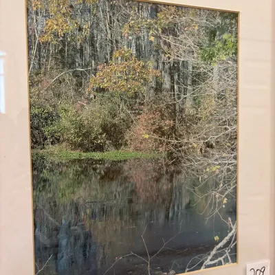 Framed photographic print depicting a serene forest scene with a reflecting pond, professionally matted and measuring 18x22 inches.