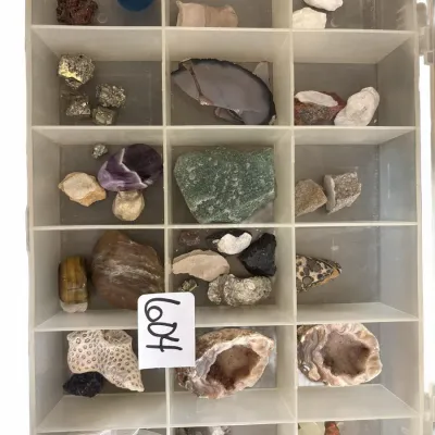 Collection of assorted rocks, minerals, and geode specimens organized inside a plastic compartment tray.