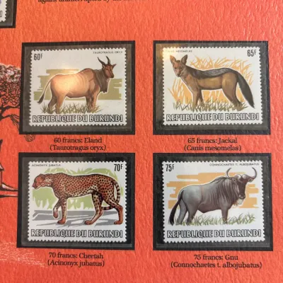 Set of four Republique du Burundi wildlife postage stamps mounted on a collector display page, featuring an eland, jackal, cheetah, and gnu.