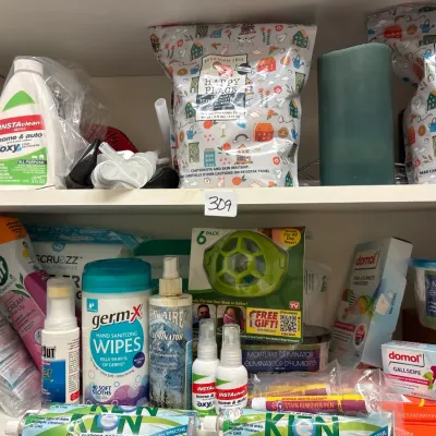 Collection of assorted household cleaning supplies, sanitizing wipes, laundry detergents, and stain removers arranged on closet shelves.