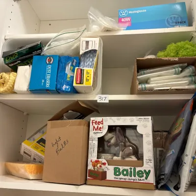 Assorted household supplies inside a white storage cabinet, including a Feed Me! Bailey battery-operated coin bank, light bulbs, dust...