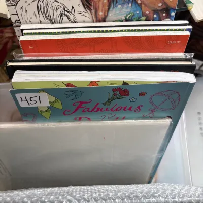 Stack of art and activity books, including horse-themed coloring books and a "Fabulous" series title, stored in a clear plastic...