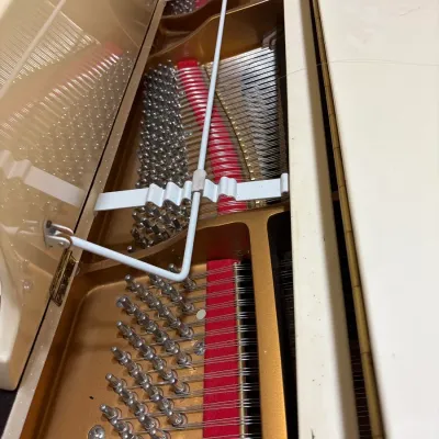 Interior view of a white grand or baby grand piano, showing the gold-tone harp, tuning pins, strings, and red felt damper.