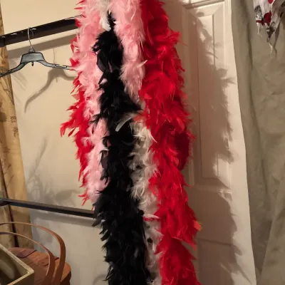 Collection of vibrant feather boas in red, pink, black, and white, hanging together on a door.