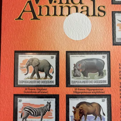 Collection of mounted Republique du Burundi wild animal postage stamps featuring an elephant, hippopotamus, zebra, and warthog.