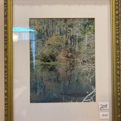 Framed nature photograph depicting a wooded pond scene with reflections, presented in a off-white mat and ornate gold-finished frame...