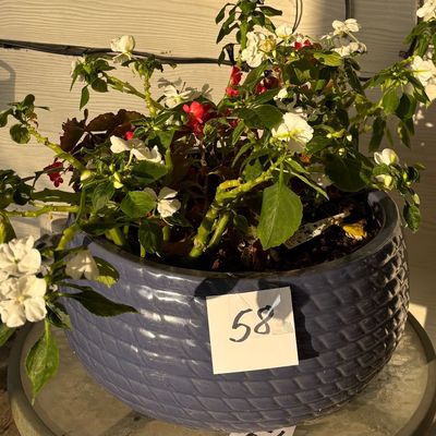 Large Planter