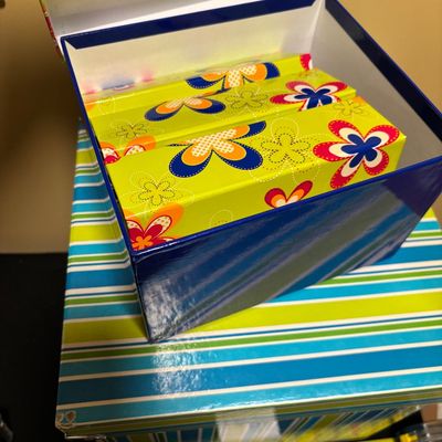 Storage Box Lot