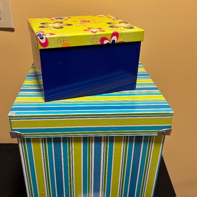 Storage Box Lot