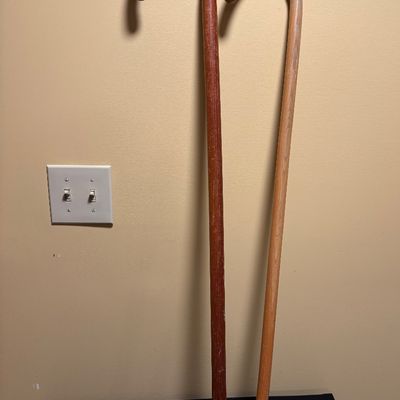 Cane Lot
