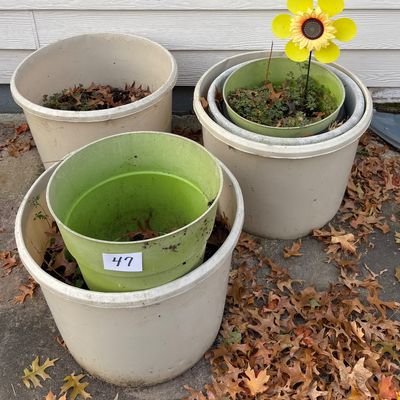 Mineral Feeders and Plastic Pots