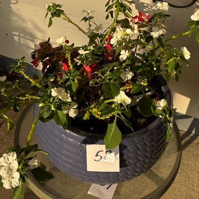 Large Planter