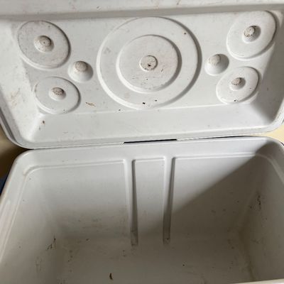 Coleman Cooler