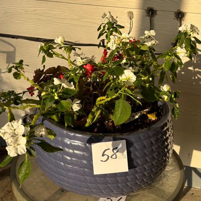 Large Planter