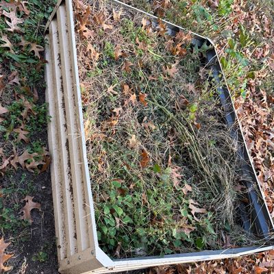 Raised Bed