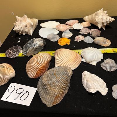 Shell Lot