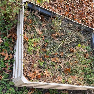 Raised Bed