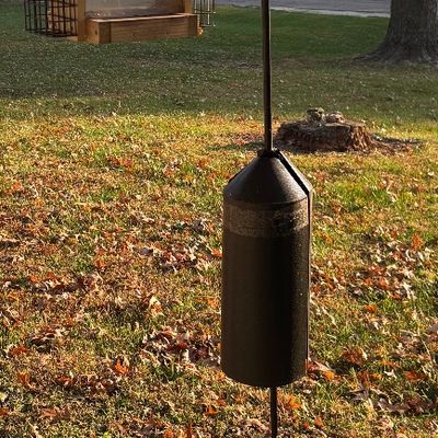 Bird Feeder on Shepard Hook