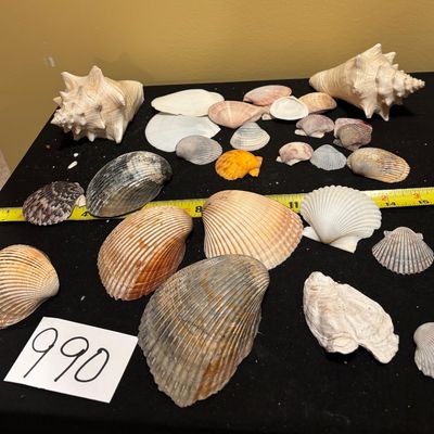 Shell Lot