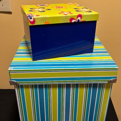 Storage Box Lot