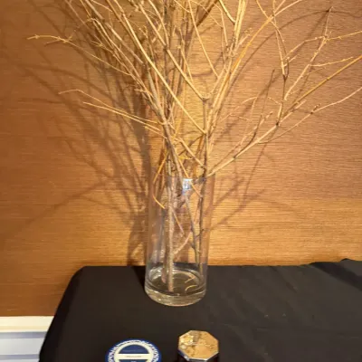 Sale Photo Thumbnail #171: Tall, clear glass cylinder vase filled with decorative dried branches, displayed alongside two small scented candles on a black tablecloth.
