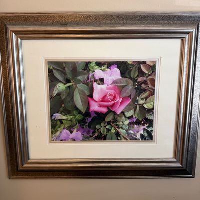 Framed floral photographic print featuring a close-up of a pink rose surrounded by foliage and purple flowers, set within a double mat...