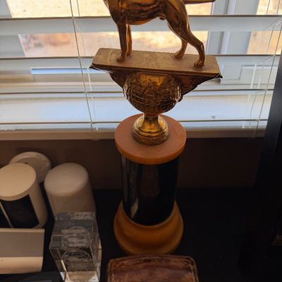 Vintage brass dog hunting trophy featuring a pointer figure atop a globe and column base.