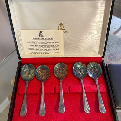 Set of five vintage silver-plated fruit spoons, housed in the original presentation box with cleaning instructions.