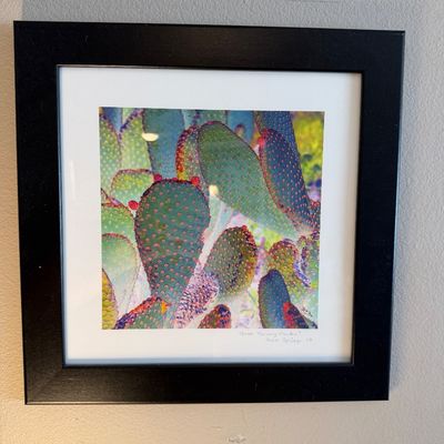 Framed color photograph of prickly pear cacti in Palm Springs, California, presented in a black wood frame with a white mat.