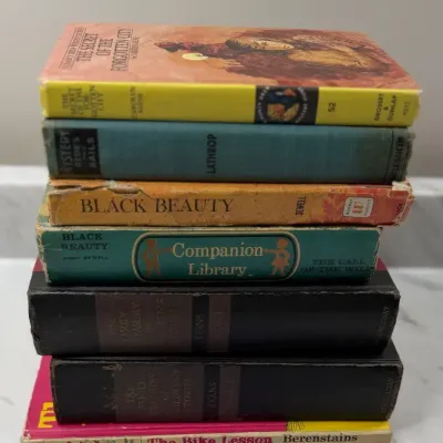 Vintage Mid-Century Children’s & Classic Books Stack - Lot of 7 Hardcovers (Nancy Drew, Berenstain B
