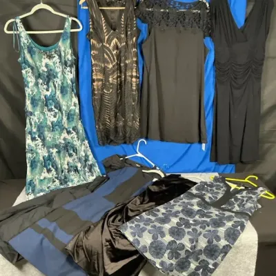 Women’s Dress & Formalwear Collection – Jessica Howard, Bardot, Ann Taylor, Rachel Roy & BOSS