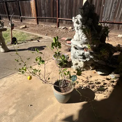 Sale Photo Thumbnail #74