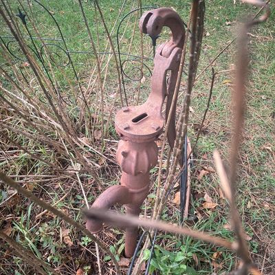 Sale Photo Thumbnail #179: Vintage cast iron hand-operated water pump with heavy surface rust, installed in an outdoor garden area.