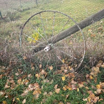 Sale Photo Thumbnail #171: Vintage painted metal wagon wheel resting against a wooden post outdoors.
