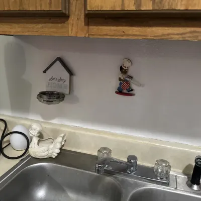 Sale Photo Thumbnail #15: Kitchen counter area with vintage mixer, sink fixtures, novelty wall decor, and a decorative ceramic hen dish.