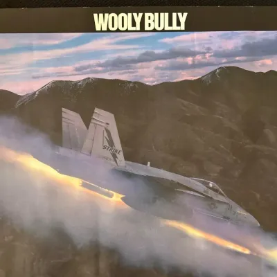 CN225 Aviation Military Posters 