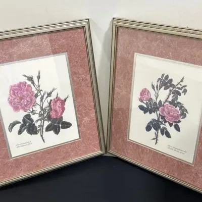 CN191 Framed Floral Art - Set Of Two Rose Pictures