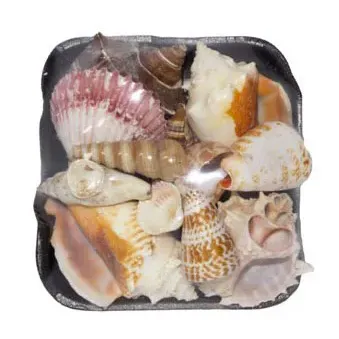 Sale Photo Thumbnail #972