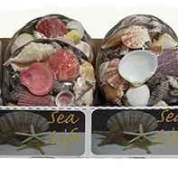 Sale Photo Thumbnail #1326