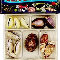 Sale Photo Thumbnail #1149
