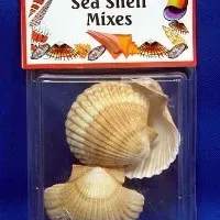 Sale Photo Thumbnail #597