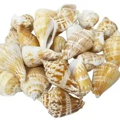 Sale Photo Thumbnail #343