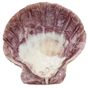 Sale Photo Thumbnail #1367