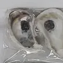 Sale Photo Thumbnail #234
