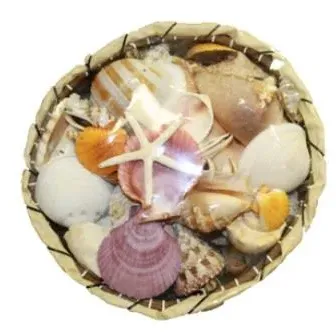 Sale Photo Thumbnail #550