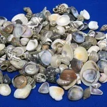 Sale Photo Thumbnail #681