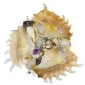 Sale Photo Thumbnail #373
