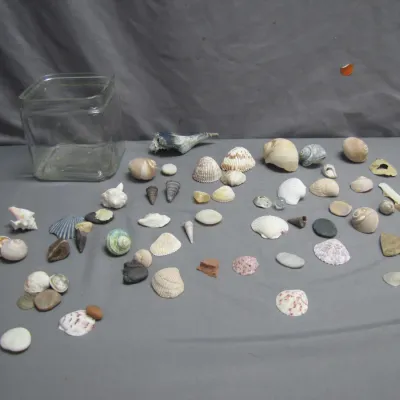 Sale Photo Thumbnail #40: Collection of assorted natural seashells, pebbles, and beach stones paired with a clear square glass display jar.