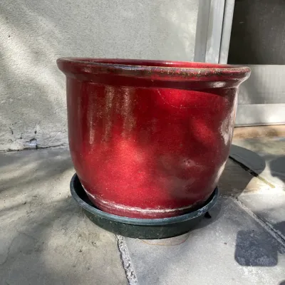 Sale Photo Thumbnail #12: Large red glazed ceramic planter sitting on a slate patio floor.